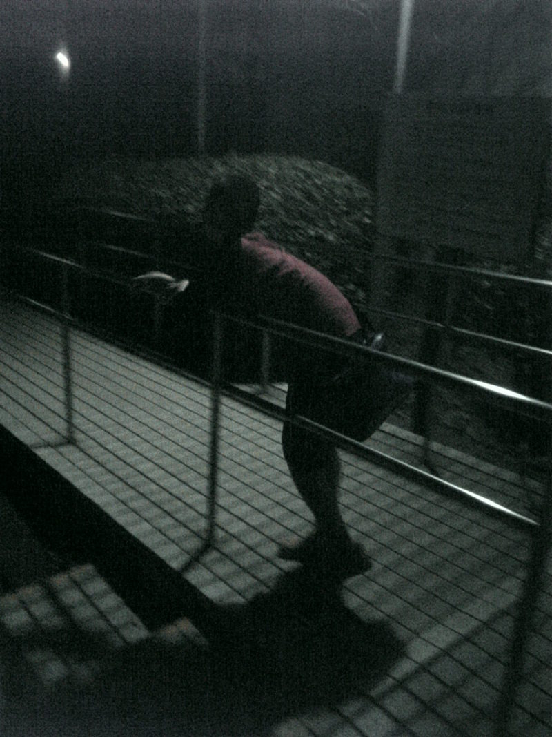 ぶんちんのブログ