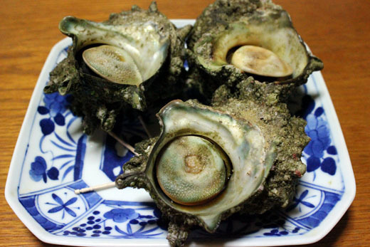 ぶんちんのブログ