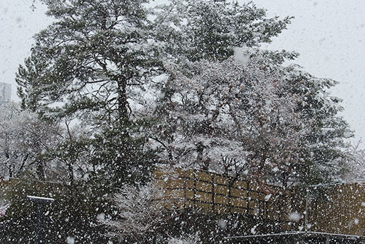 ぶんちんのブログ