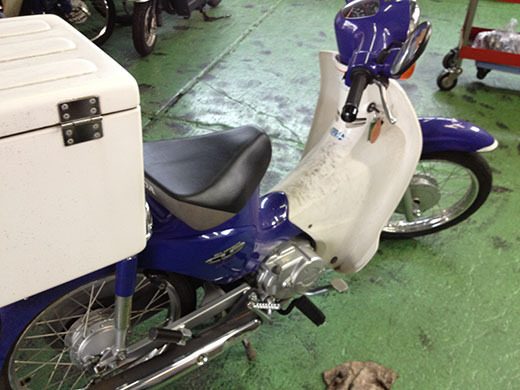 ぶんちんのブログ